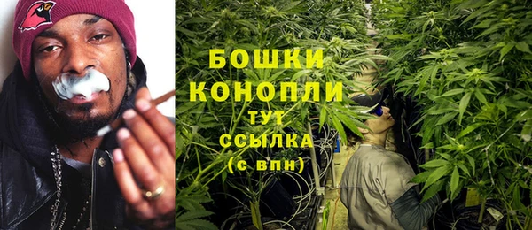 индика Баксан