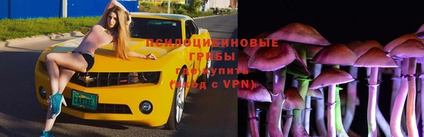 прущие крисы Балабаново