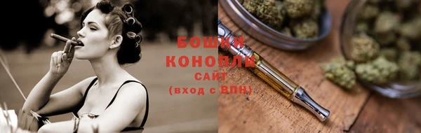индика Баксан